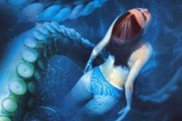 Kraken вход kraken torion