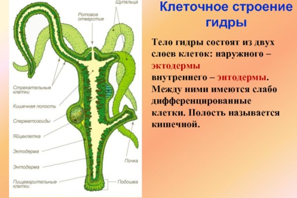 Зайти на кракен без тора