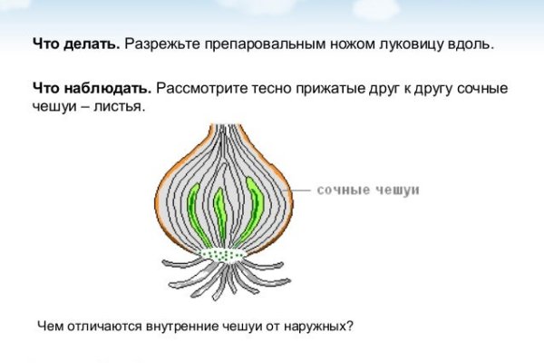 Как заказать на кракене